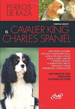 EL CAVALIER KING CHARLES SPANIEL