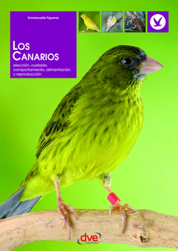 Los canarios