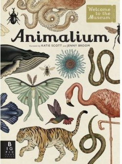 Animalium