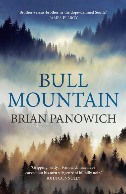 Bull mountain