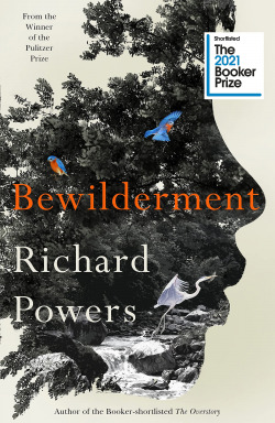 BEWILDERMENT