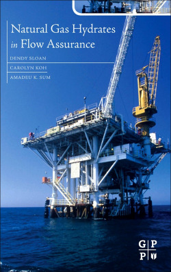 Natural Gas Hydrates in Flow Assurance,