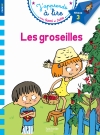 LES GROSEILLES