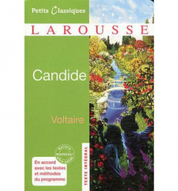 Candide ou l'optimisme