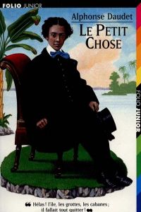 228.PETIT CHOSE,LA (FOLIO JUNIOR 4)