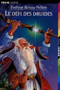 718.DEFI DES DRUIDES,LE (FOLIO JUNIOR 5)
