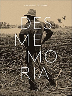 Desmemoria