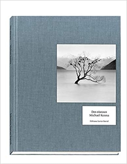 DES OISEAUX - MICHAEL KENNA (ENGLISH VERSION)