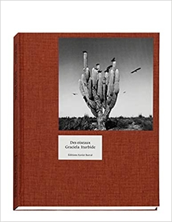 GRACIELA ITURBIDE: DES OISEAUX