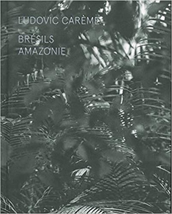 BRÉSILS AMAZONIE