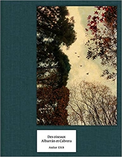 DES OISEAUX