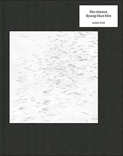 DES OISEAUX