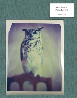 Des Oiseaux Paolo Roversi