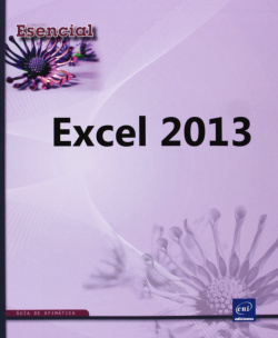 Excel 2013