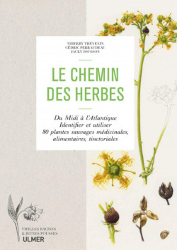 Le chemin des herbes