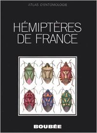 Hémiptéres de france
