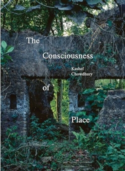 The consciousness of place