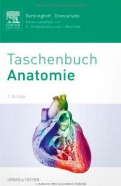 Benninghoff Taschenbuch Anatomie
