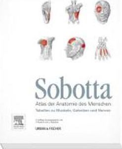 Sobotta Tabellen zu Muskeln, Gelenken und Nerven