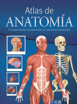 Atlas de anatomía (R)