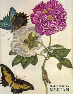 MARÍA SIBYLLA MERIAN