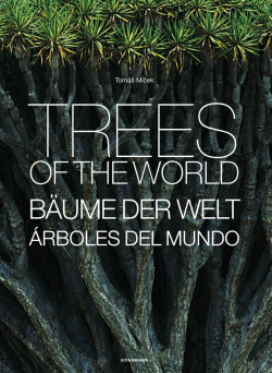 TREES