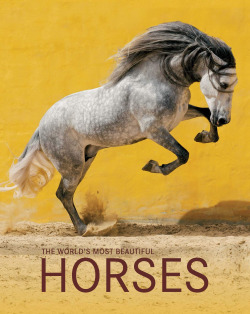 HORSES- LOS CABALLOS MAS BELLOS DEL MUNDO- KONEMANN