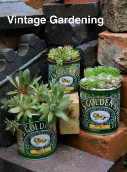 VINTAGE GARDENING