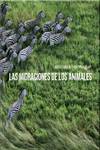 Las migraciones de los animales