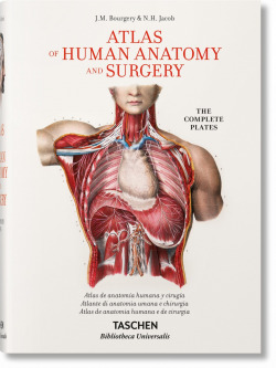 Bourgery, Atlas Anatom. HC