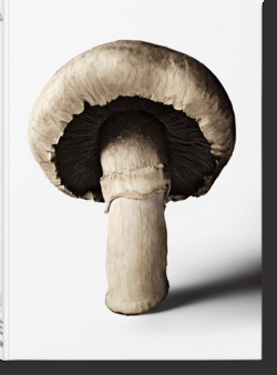 The Gourmand's Mushroom. A Collection of Stories