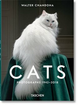 Walter Chandoha. Cats. Photographs 1942?2018