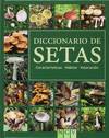 Diccionario de setas