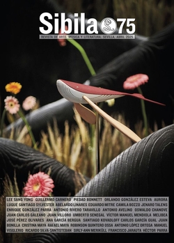 Revista sibila 75