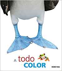 A todo color