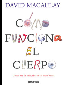 Cómo funciona el cuerpo