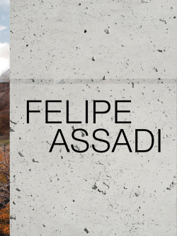 ASSADI:FELIPE ASSADI