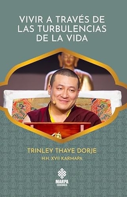 VIVIR A TRAVES DE LAS TURBULENCIAS DE LA VIDA