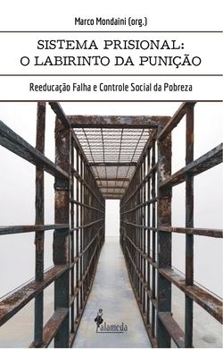 O sistema prisional: o labirinto da punição