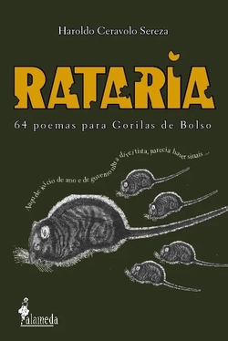 Rataria: 64 poemas para Gorilas de Bolso