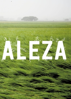 Calma