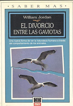 DIVORCIO ENTRE LAS GAVIOTAS, EL