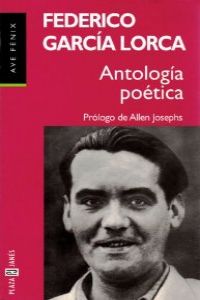 Fenix/antologia poetica