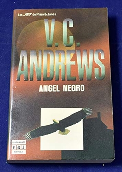 Angel negro