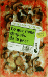Lo que viene después de lo peor
