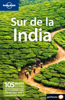 Sur de la India 1