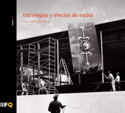 Estrategias y efectos de escala