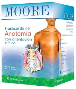 Flashcards de anatomia con orientacion clinica