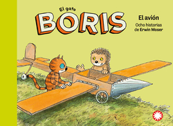 El avión