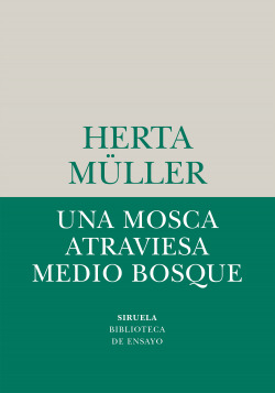 UNA MOSCA ATRAVIESA MEDIO BOSQUE